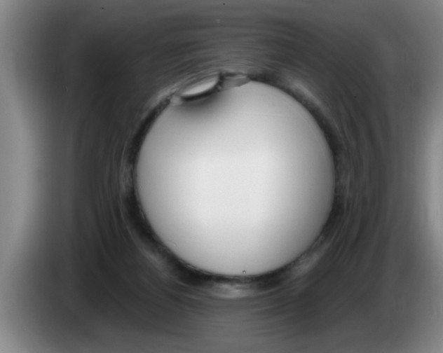 X0000083590164200703091727