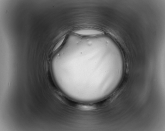 X0000083590165200703091727