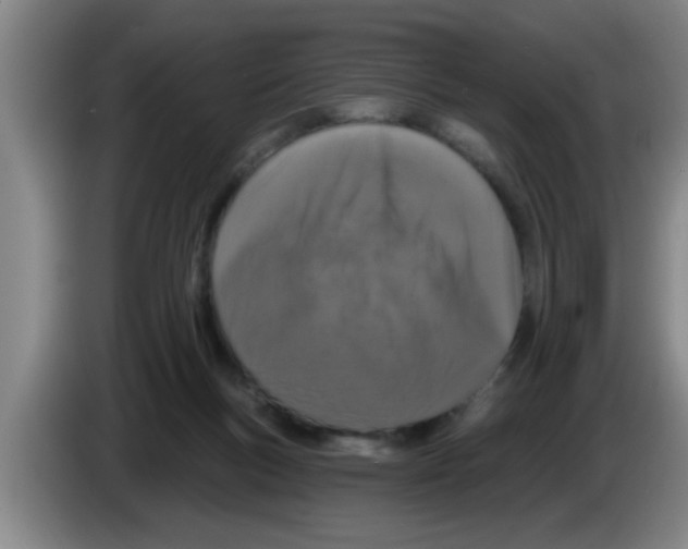 X0000083590167200703091727