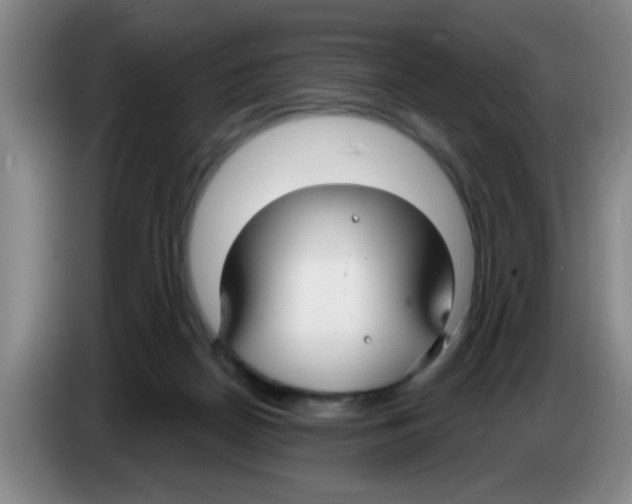 X0000083590170200703091727