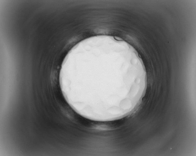 X0000083590171200703091727