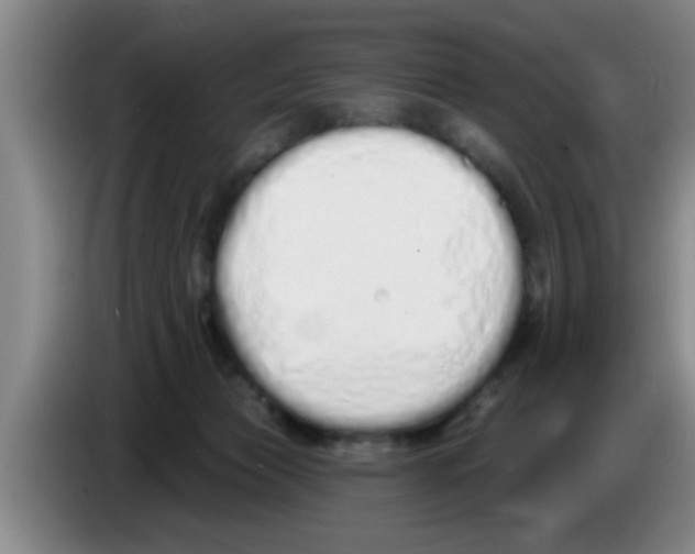 X0000083590173200703091727