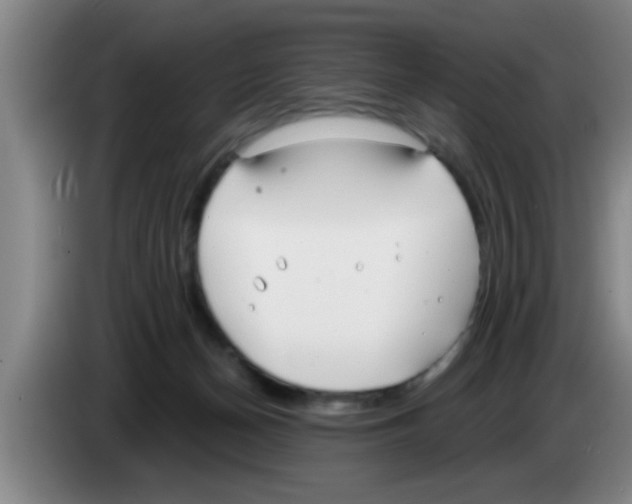 X0000083590174200703091727