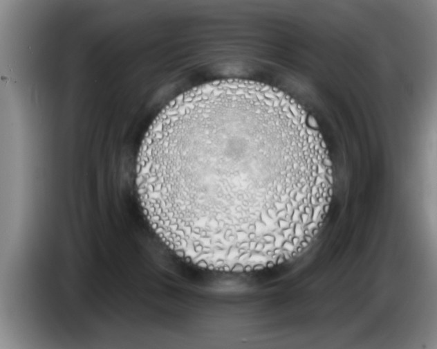 X0000083590175200703091727