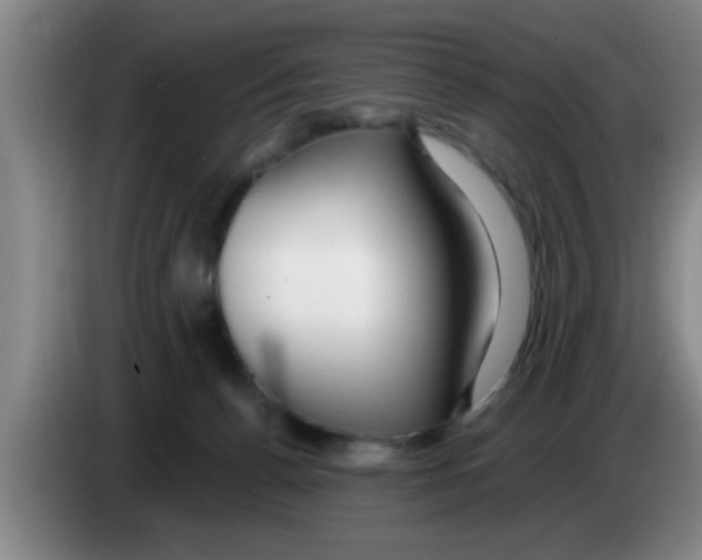 X0000083590176200703091727