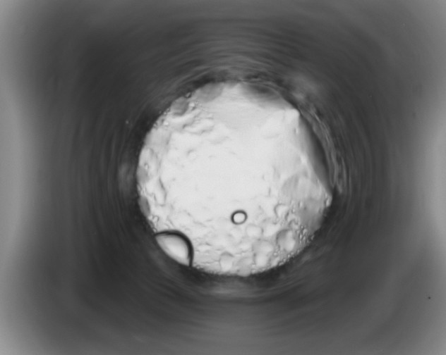 X0000083590177200703091727