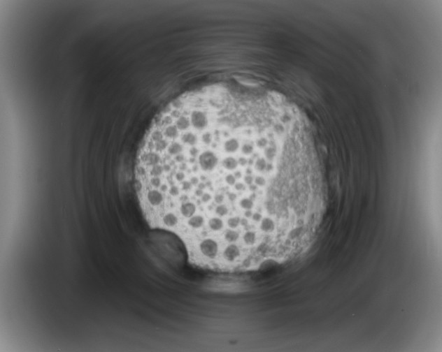 X0000083590179200703091727
