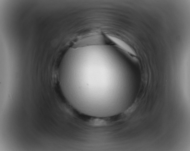X0000083590180200703091727