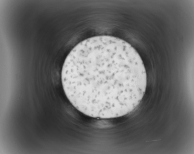 X0000083590183200703091727