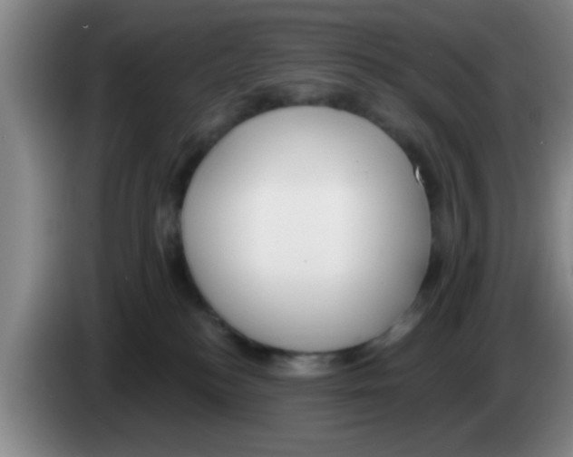 X0000083590184200703091727