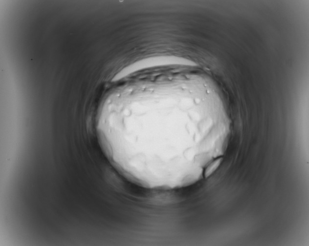 X0000083590185200703091727