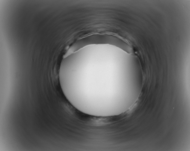 X0000083590186200703091727