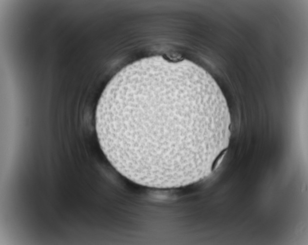 X0000083590187200703091727