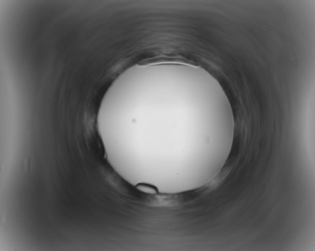 X0000083590188200703091727