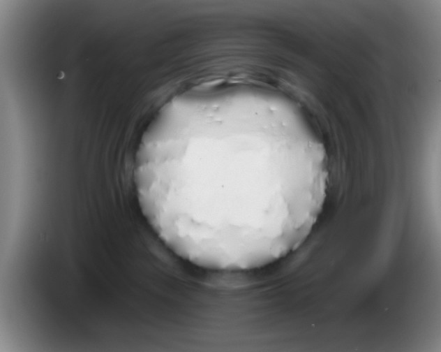 X0000083590189200703091727