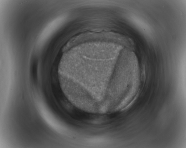 X0000083590191200703091727