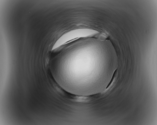 X0000083590192200703091727