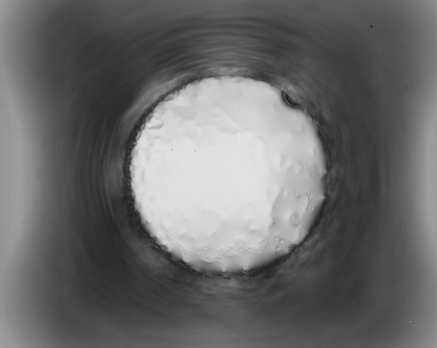 X0000083590194200703091727