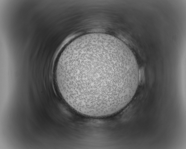 X0000083590195200703091727