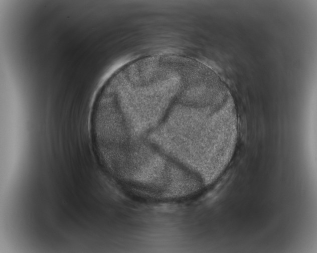 X0000083590196200703091727