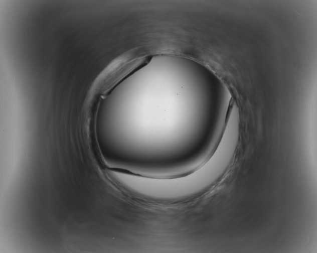 X0000083590197200703091727