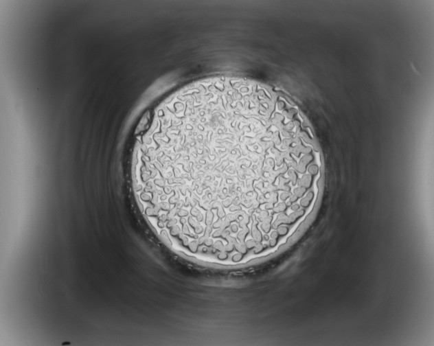 X0000083590198200703091727