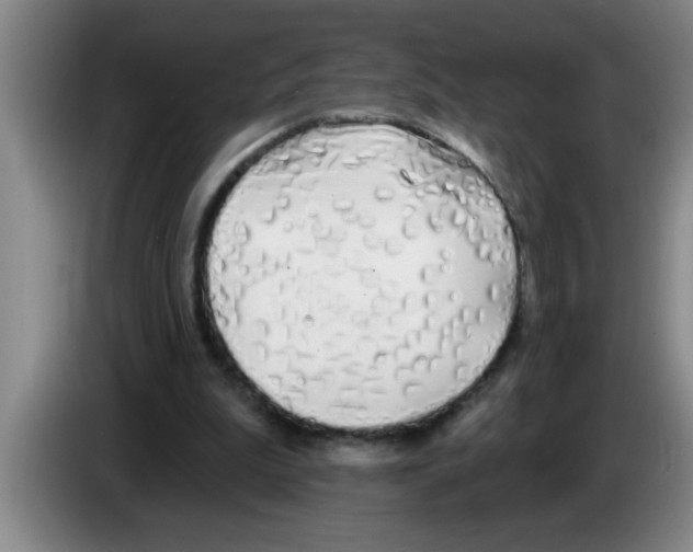 X0000083590199200703091727