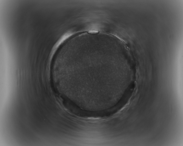 X0000083590200200703091727