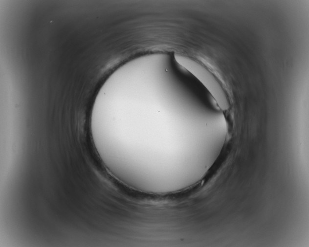 X0000083590201200703091727