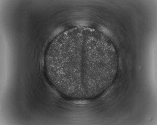 X0000083590202200703091727