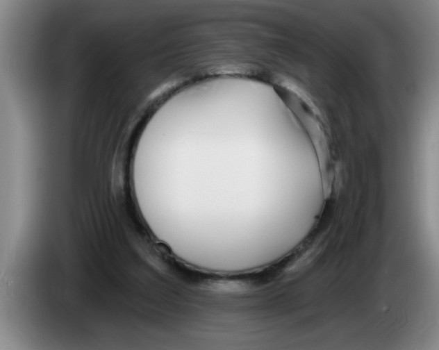 X0000083590203200703091727