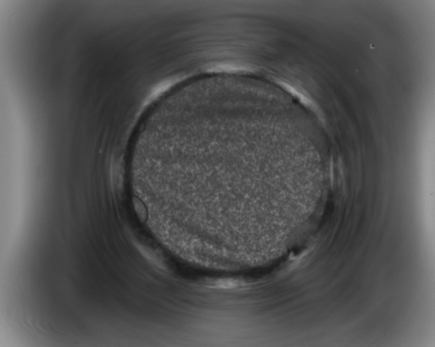 X0000083590204200703091727