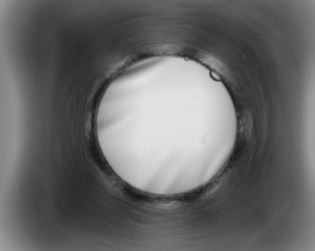 X0000083590206200703091727