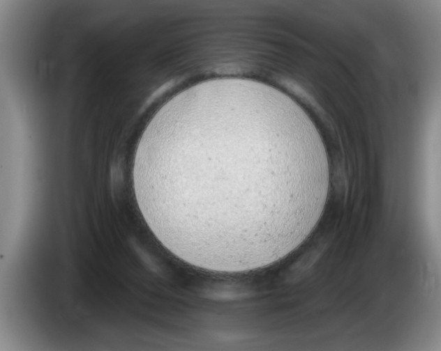 X0000083590208200703091727