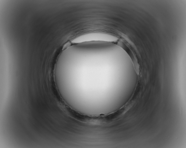 X0000083590209200703091727