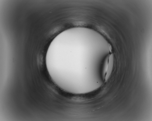 X0000083590211200703091727