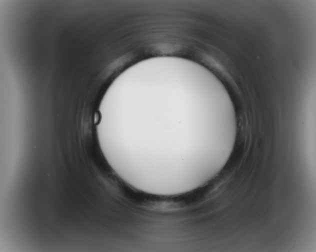 X0000083590212200703091727