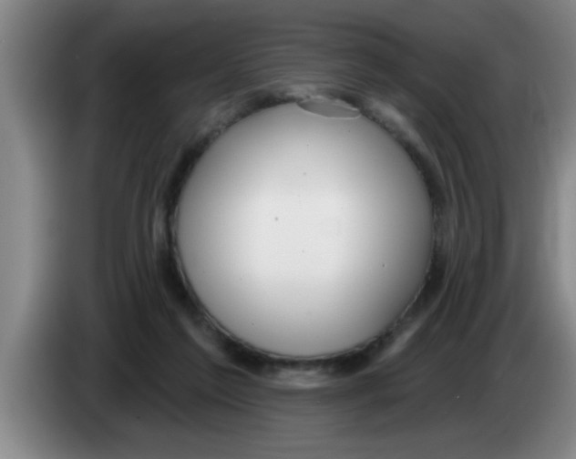 X0000083590213200703091726