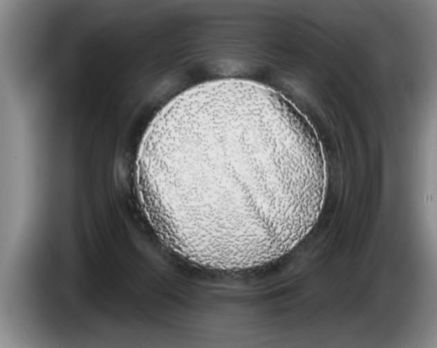 X0000083590214200703091726