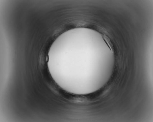 X0000083590215200703091726