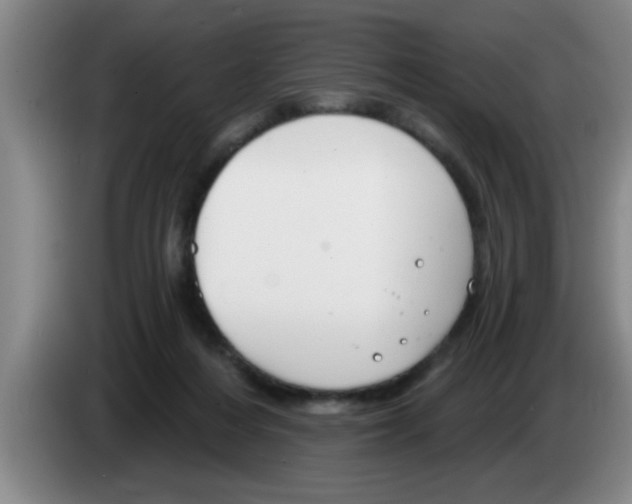 X0000083590216200703091726