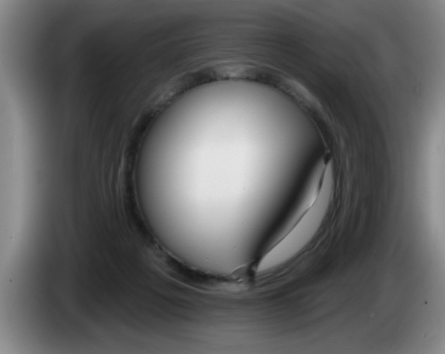 X0000083590217200703091726