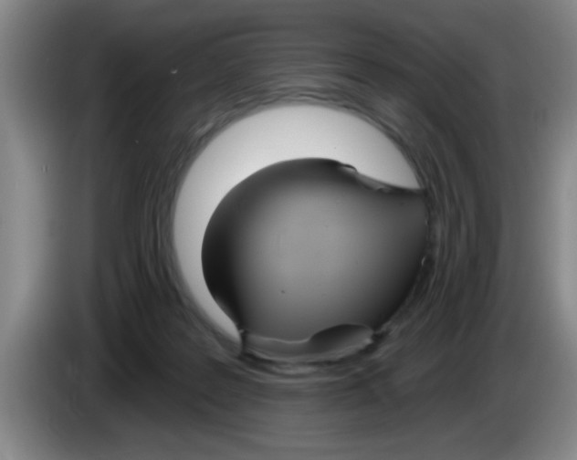 X0000083590219200703091726