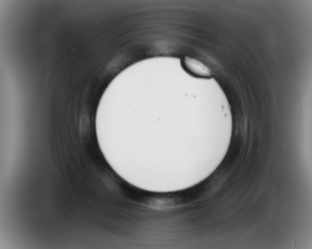 X0000083590220200703091726