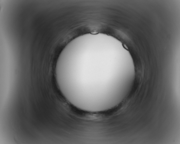 X0000083590221200703091726