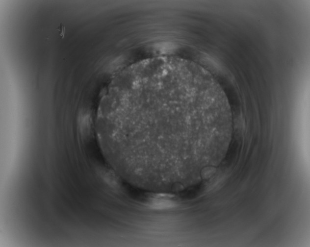 X0000083590222200703091726