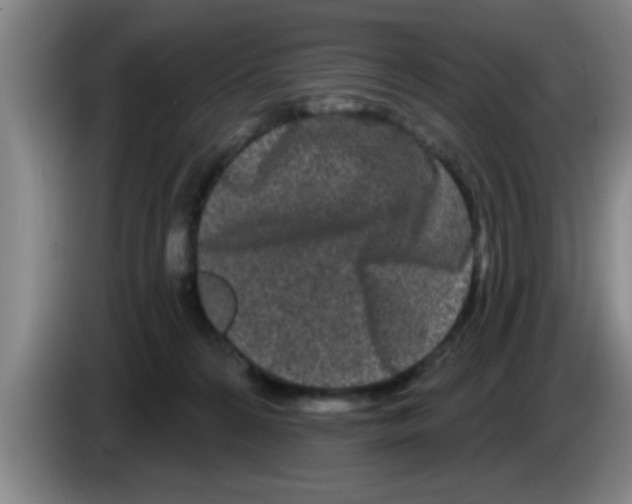 X0000083590224200703091726