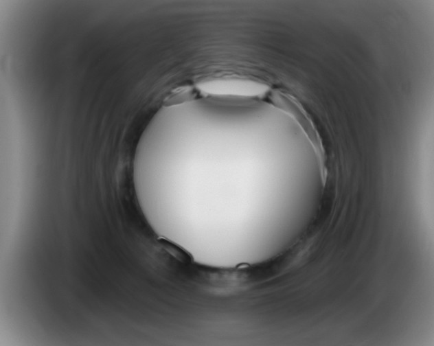 X0000083590225200703091726