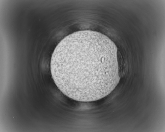 X0000083590226200703091726