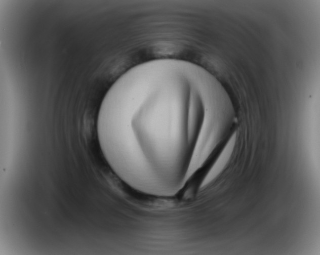 X0000083590227200703091726